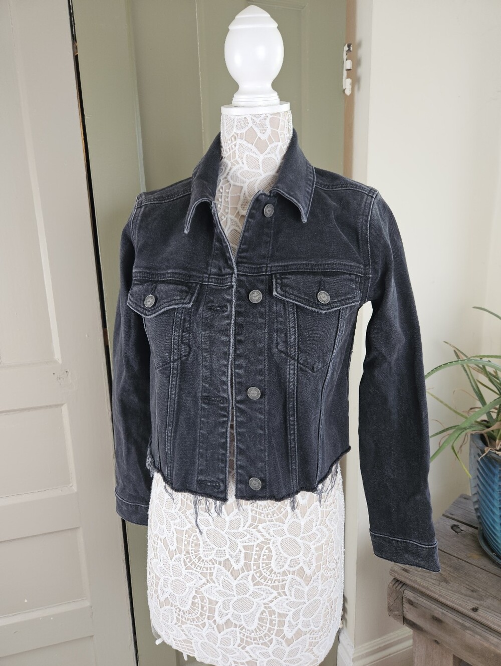 Hollister Womens Black Denim Cropped Jean Jacket Distressed Raw Hem Size S